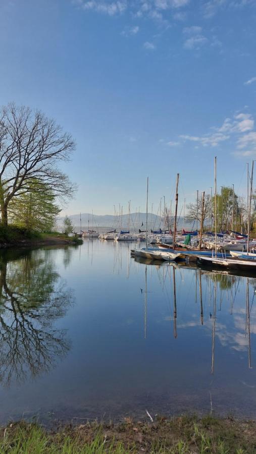 Laguna24 Jezioro Zywieckie Klimatyzowany Apartament 40 M2 Zarzecze  Zewnętrze zdjęcie